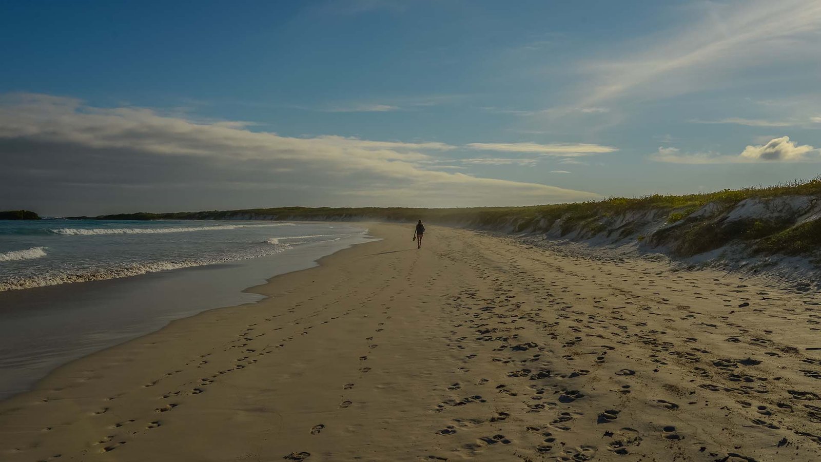 Traveler walking along an empty sandy beach at sunset in the Galápagos Islands, Ecuador.