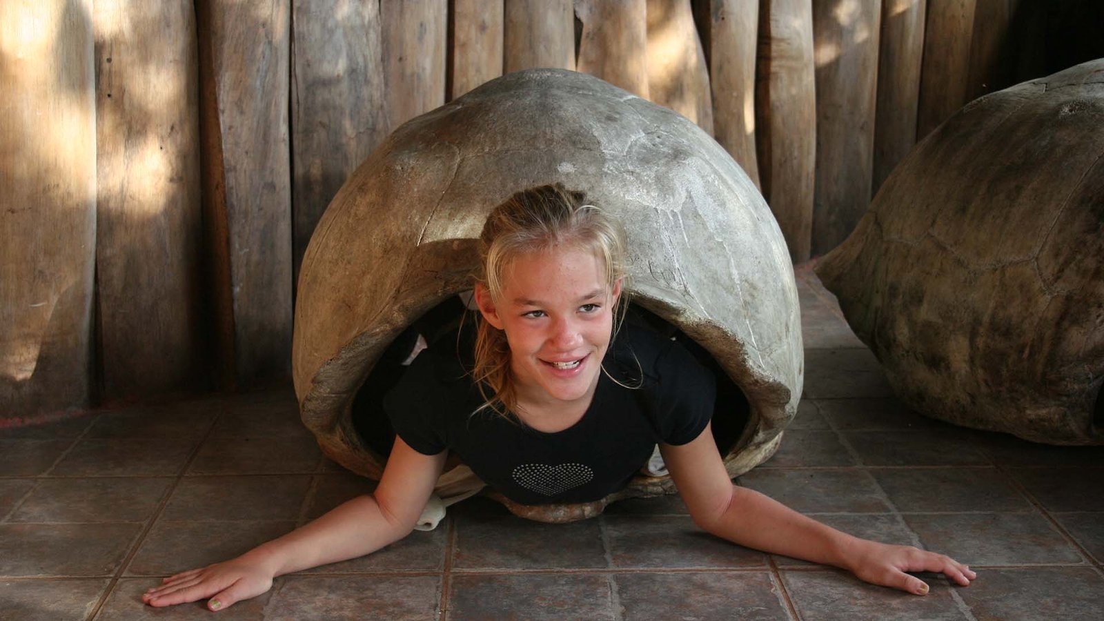 Child enjoying an interactive experience inside a giant tortoise shell replica at a Galápagos conservation center.