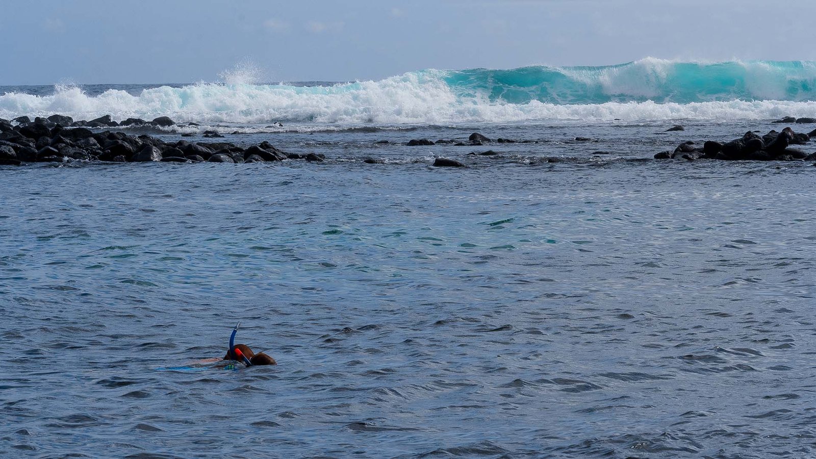 Persona practicando snorkel en las aguas de Galápagos con olas rompiendo al fondo y rocas volcánicas alrededor.