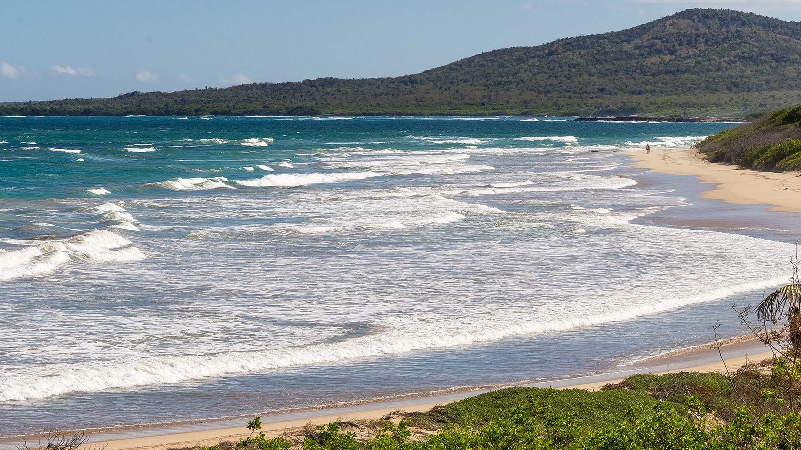 Waves crashing on a pristine sandy beach in the Galápagos Islands, Ecuador, with lush hills in the background and turquoise waters.